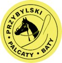 Przybylski palcaty.pl