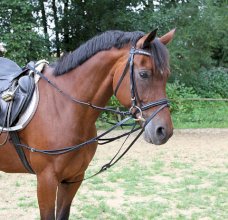 Wypinacze trójkątne w kolorze czarnym