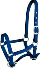 Kantar źrebięcy York Tobi, niebieski