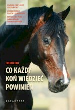 Co każdy koń wiedzieć powinien, Galaktyka