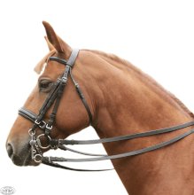 ogłowie sportowe munsztukowe Daw-Mag