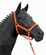 Kantar HKM Stars Softice podszywany, pomarańczowy neonowy, Sklep jeździecki Wrocław