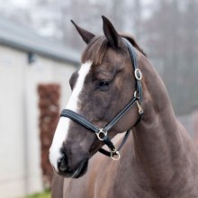 Kantar Skórzany Horze Largo czarny