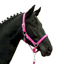 Kantar HKM Stars Softice, miękko podszyty, neonowy róż