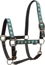 Kantar York Kimi, turkusowo-szaro-biały