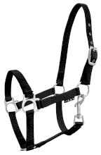 Kantar na źrebaka, czarny