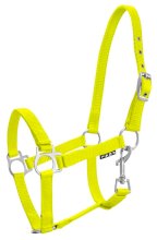 Kantar York źrebięcy, limonkowy