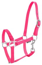 Kantar York źrebięcy, różowy