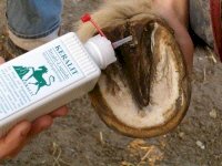 Keralit Strahl-Liquide, preparat na gnijące strzałki.