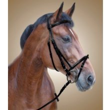 Ogłowie Anisa, czarny