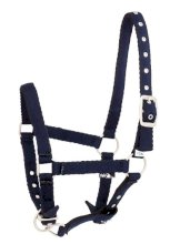 Kantar na żrebaka API BABY, granat