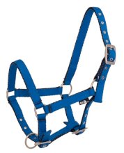 Kantar na żrebaka API BABY, niebieski