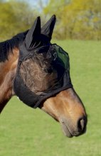 Maska Przeciw owadom York, czarny