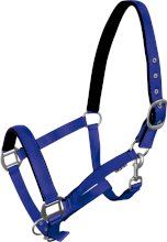 Kantar podszyty, york. Zobacz