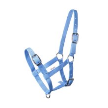 Kantar START na źrebię, jasnoniebieski