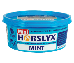 Lizawka witaminowa Horslyx Mint, 650g