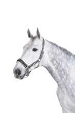 Kantar Eskadron PIN BUCKLE Basic, czarny-biały-szary