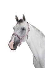 Kantar Eskadron PIN BUCKLE Basic, brązowo-różowy