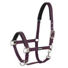 Kantar Eskadron Pin Buckle Sport Basic, blackberry