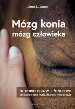 Mózg konia, mózg człowieka. Galaktyka