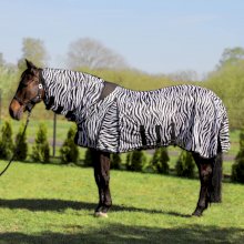 Derka York siatkowa z kapturem, zebra