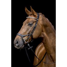 Ogłowie anatomiczne Pro Anatomic, czarne