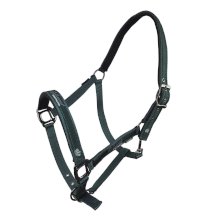 Kantar Horsenjoy Cassia, zielony