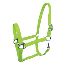 Kantar York Lita, zielony