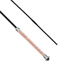 Bat Shiny ujeżdżeniowy, złoty