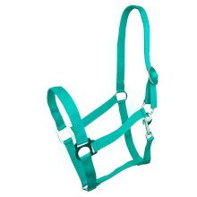 kantar Harmony turkusowy