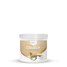 HorseLiePro Collagen, Kolagen dla koni