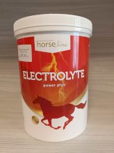 Elektrolity dla koni