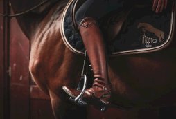 Czapsy Hippica Perfect Fit, brązowe