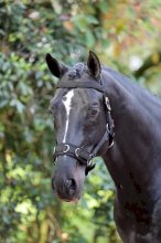 kawecan dla konia do pracy z ziemii