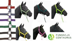 Kantar miękko podszywany dla koni z Fundacji  Centaurus, różne kolory