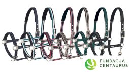 Wysokiej jakości kantar miękko podszywany dla Centaurusa, różne kolory