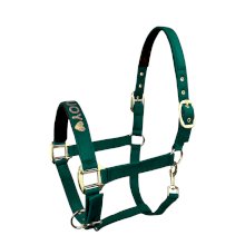 Kantar HorseEnjoy Velvet, zielony