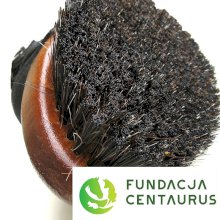 Szczotka z włosia naturalnego dla Fundacji Centaurus