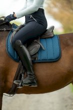 Czaprak Sportive 3D Mesh - profil wszechstronny i skokowy