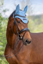 Nauszniki dla konia Covaliero 2026, smoked blue