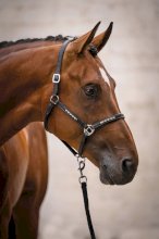 Kantar skórzany HKM Sparkle, czarny