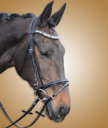 Ogłowie firmy Trico w kolorze czarnym