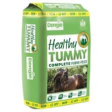 Dengy Healthy Tummy