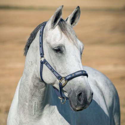 Kantar Horze Hamptons granatowy