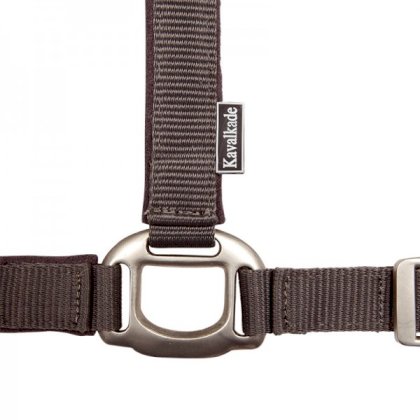 Kantar podszywany Kavalkade, szary