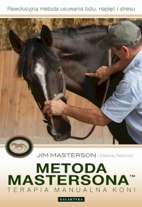 Metoda Mastersona. Terapia manualna koni, Galaktyka