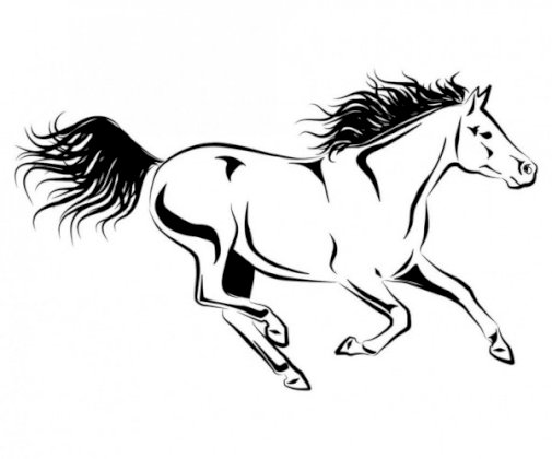 Naklejka York Galopujący koń