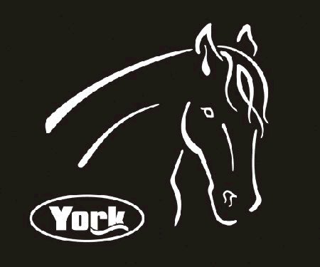 Naklejka York głowa konia z logo, biała