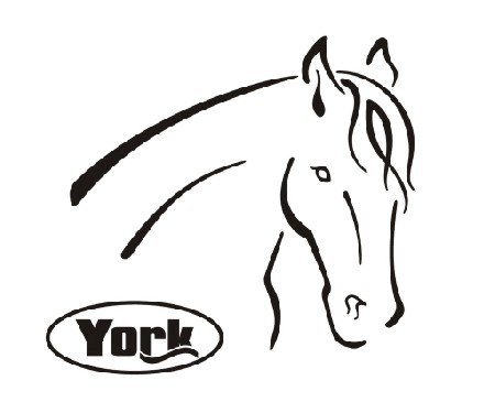 Naklejka York głowa konia z logo, czarna