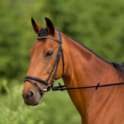 ogłowie Pony z naczółkiem V, czarne